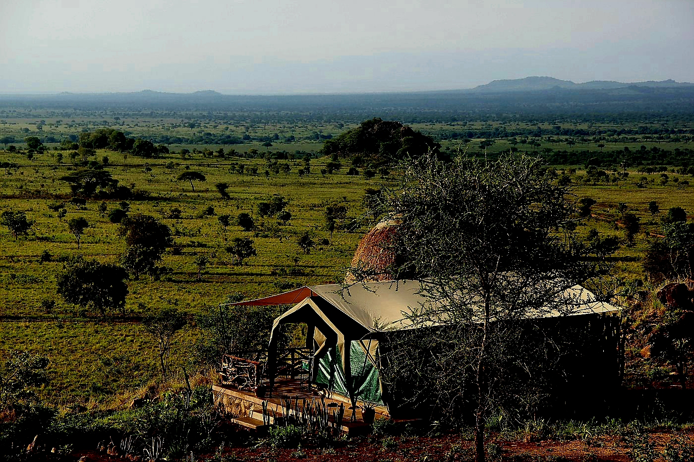 Tented Lodges