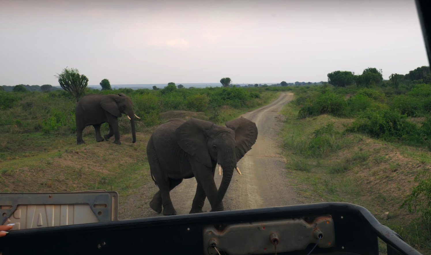 Queen Elizabeth National Park