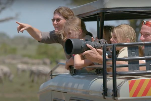 African Wildlife Safaris| African Family Safaris