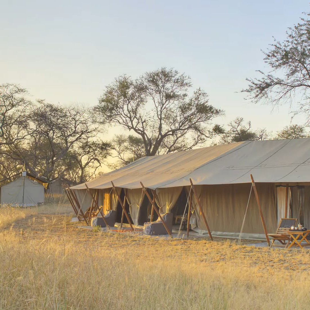 Luxury Tented Safari Lodges_Lake Manyara National Park_Mtembezi African Safaris & Vacations