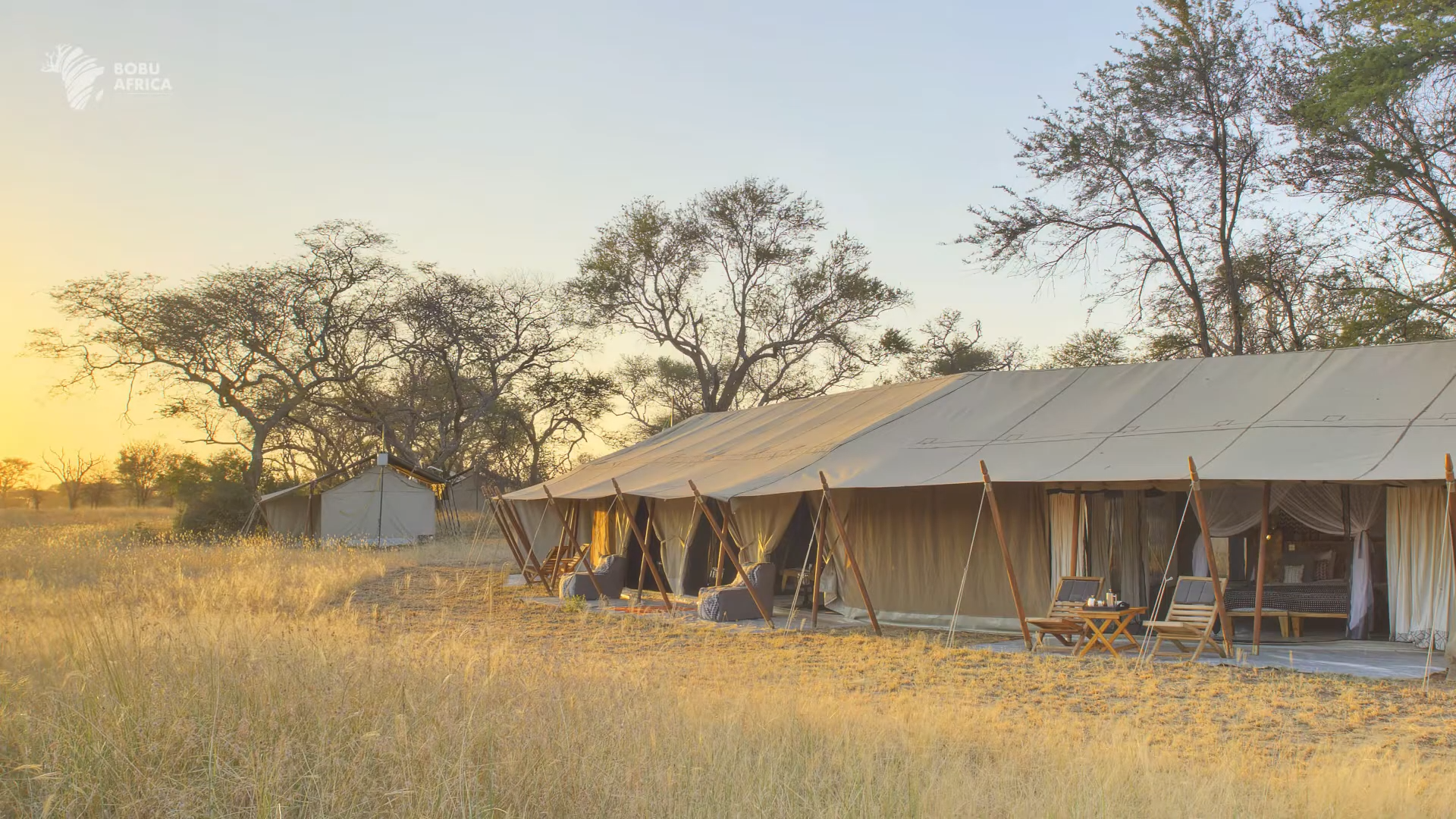 Luxury Tented Safari Lodges|Lake manyara national park