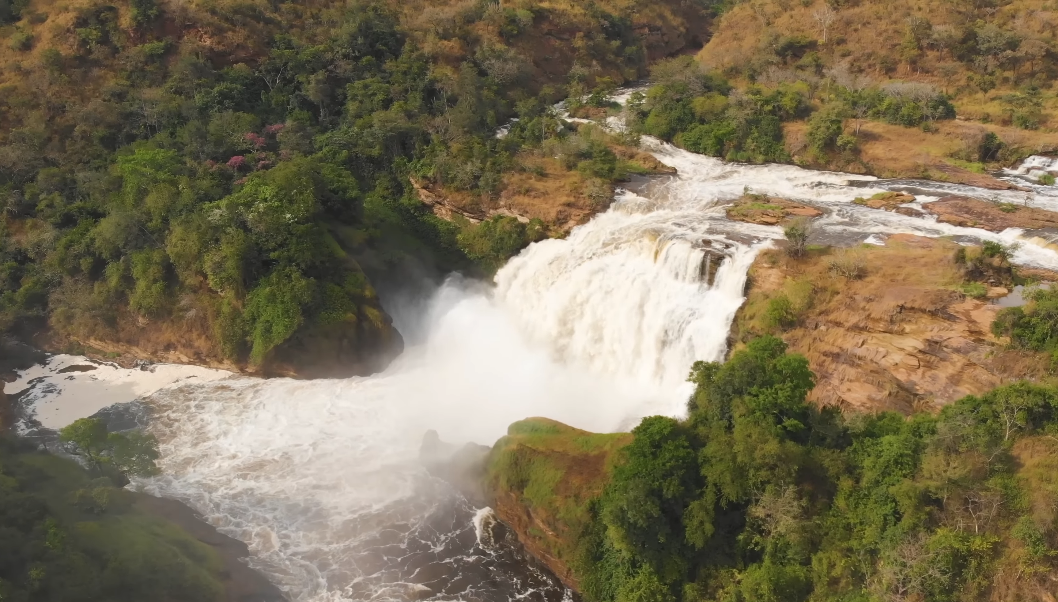 3-Day Budget Chimpanzee|Murchison Falls National Park