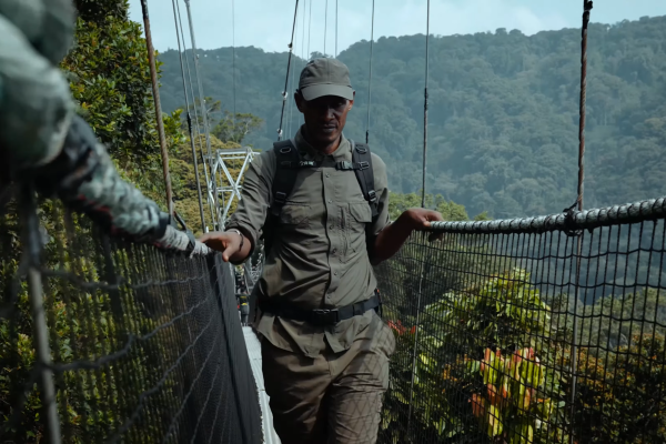 About Rwanda|Rwanda Safaris|Canopy walks