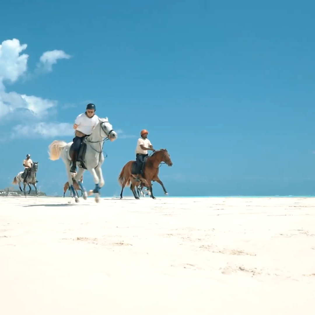 Zanzibar horse Riding