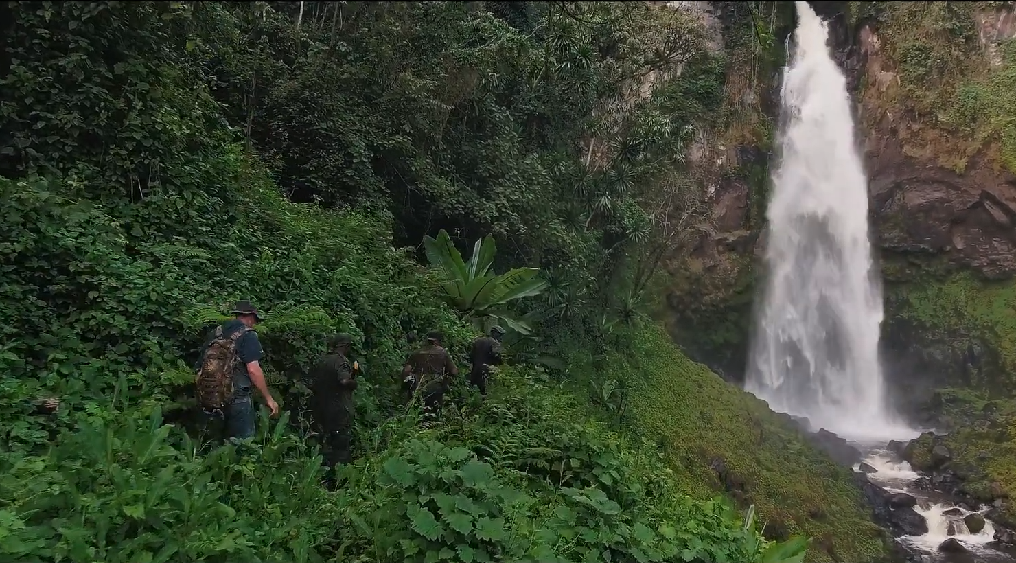 2 day Congo (DRC)|Kahuzi-Biega National Park | Gorilla Trekking in DRC