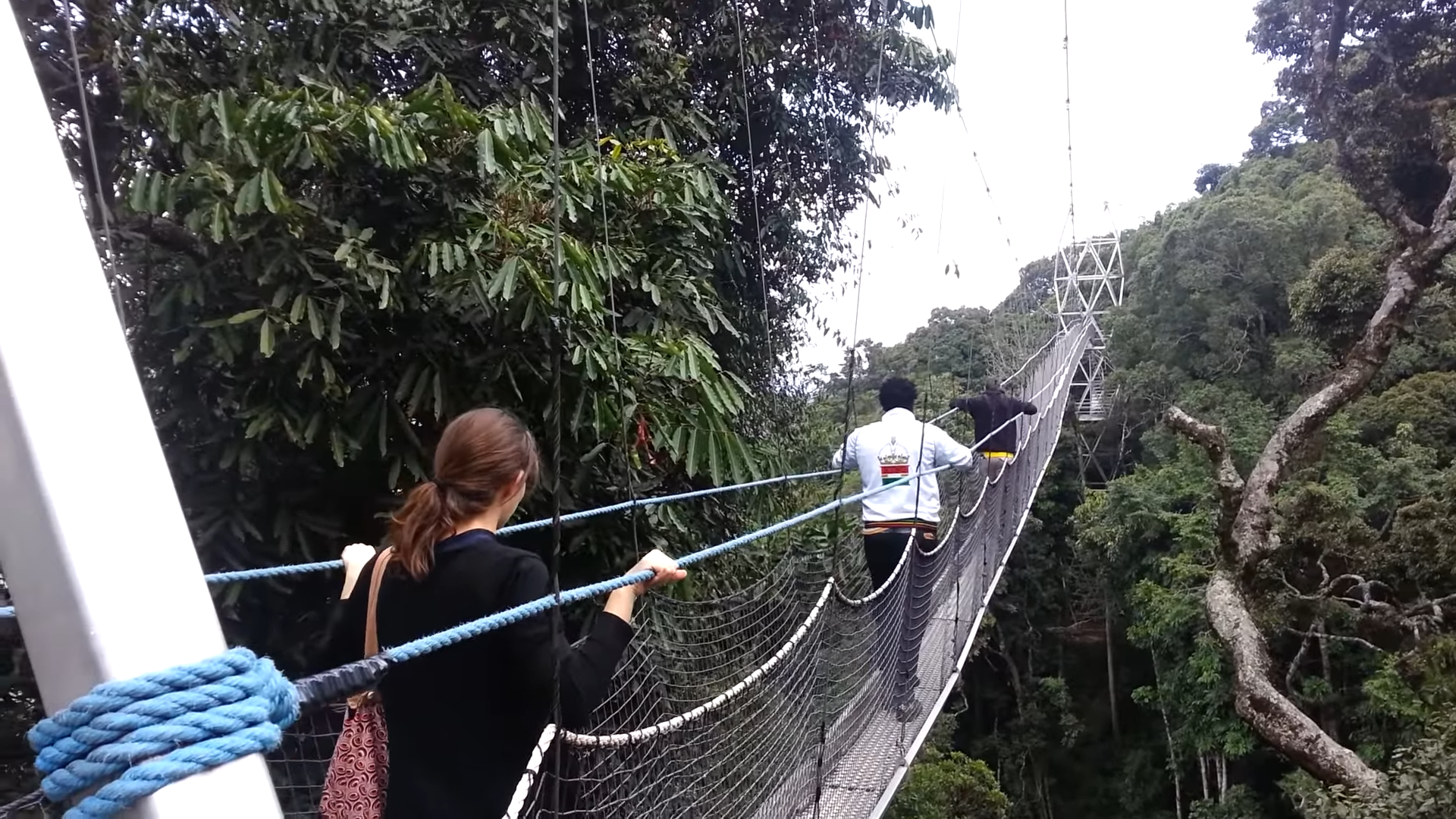 Nyungwe Canopy Walk|rwanda Safaris