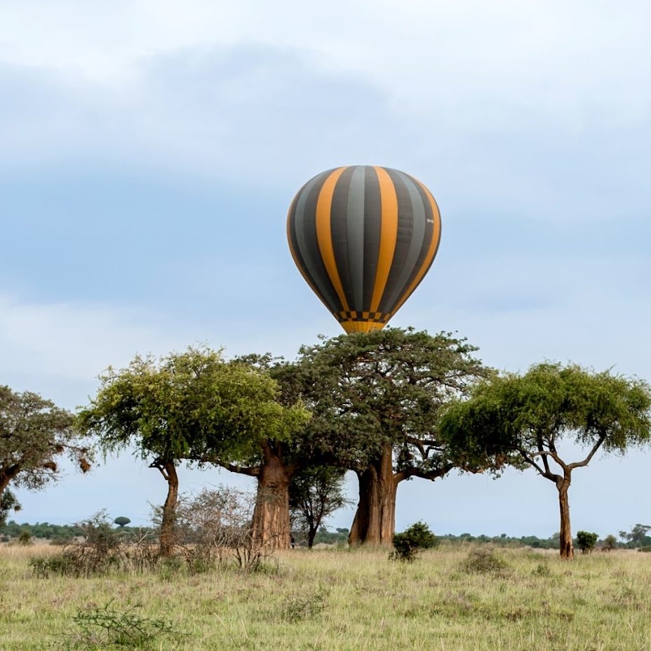Tarangire African safari tour| Hot Air balloon Tarangire hot air balloon African safari tour