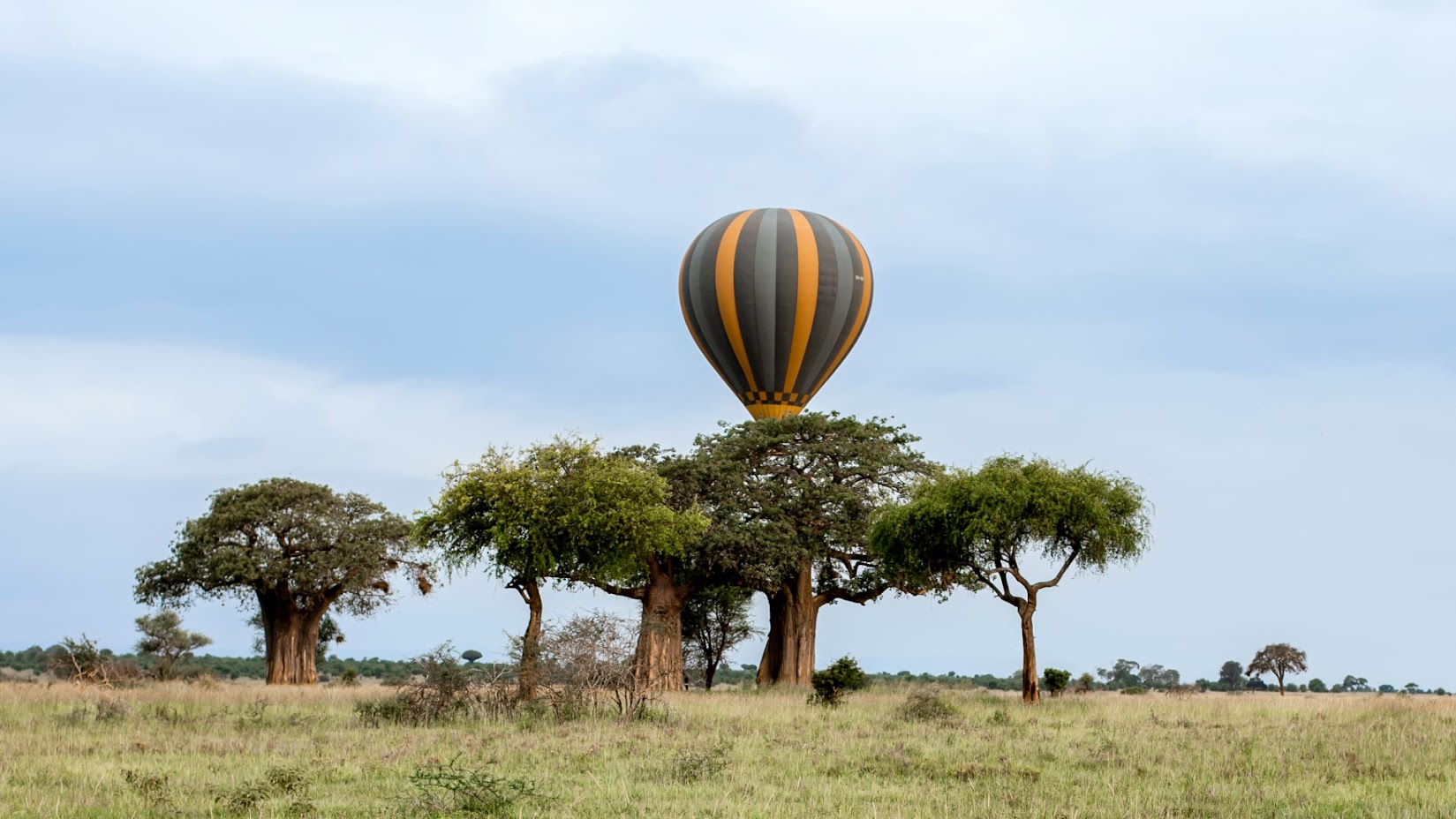 Tarangire hot air balloon African safari tour