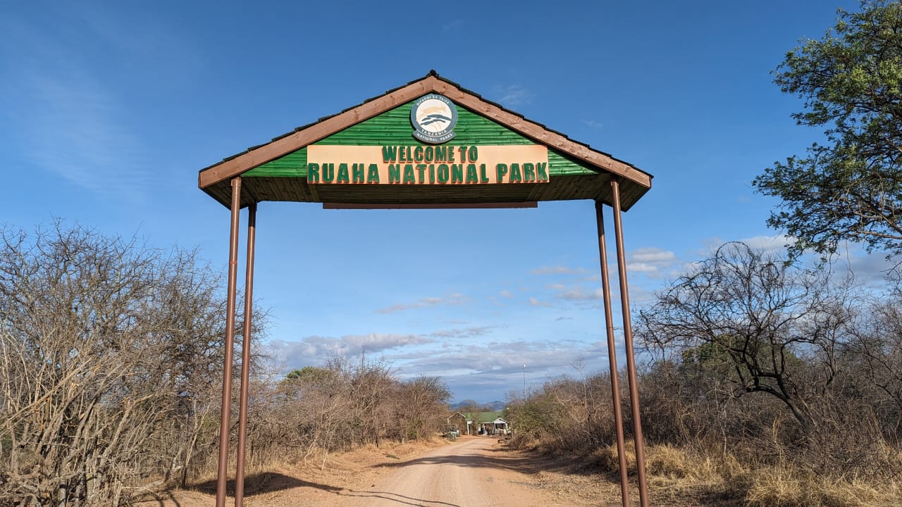 Ruaha National Park, Tanzania | Best places to visit in Tanzania