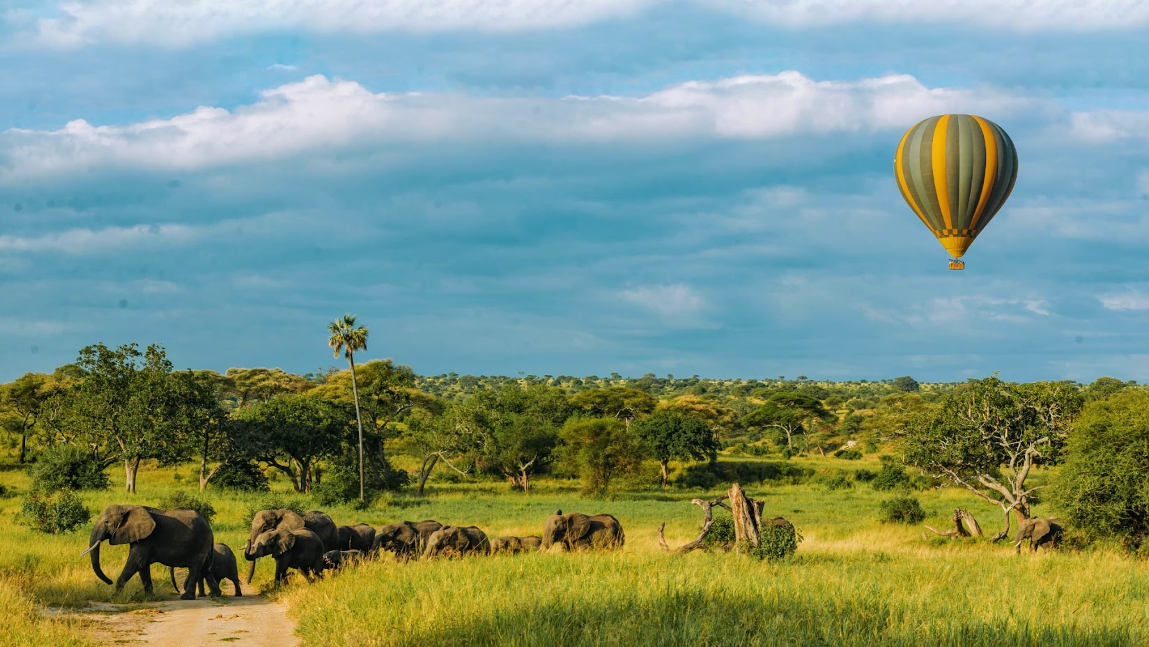 Tarangire hot air balloon African safari tour