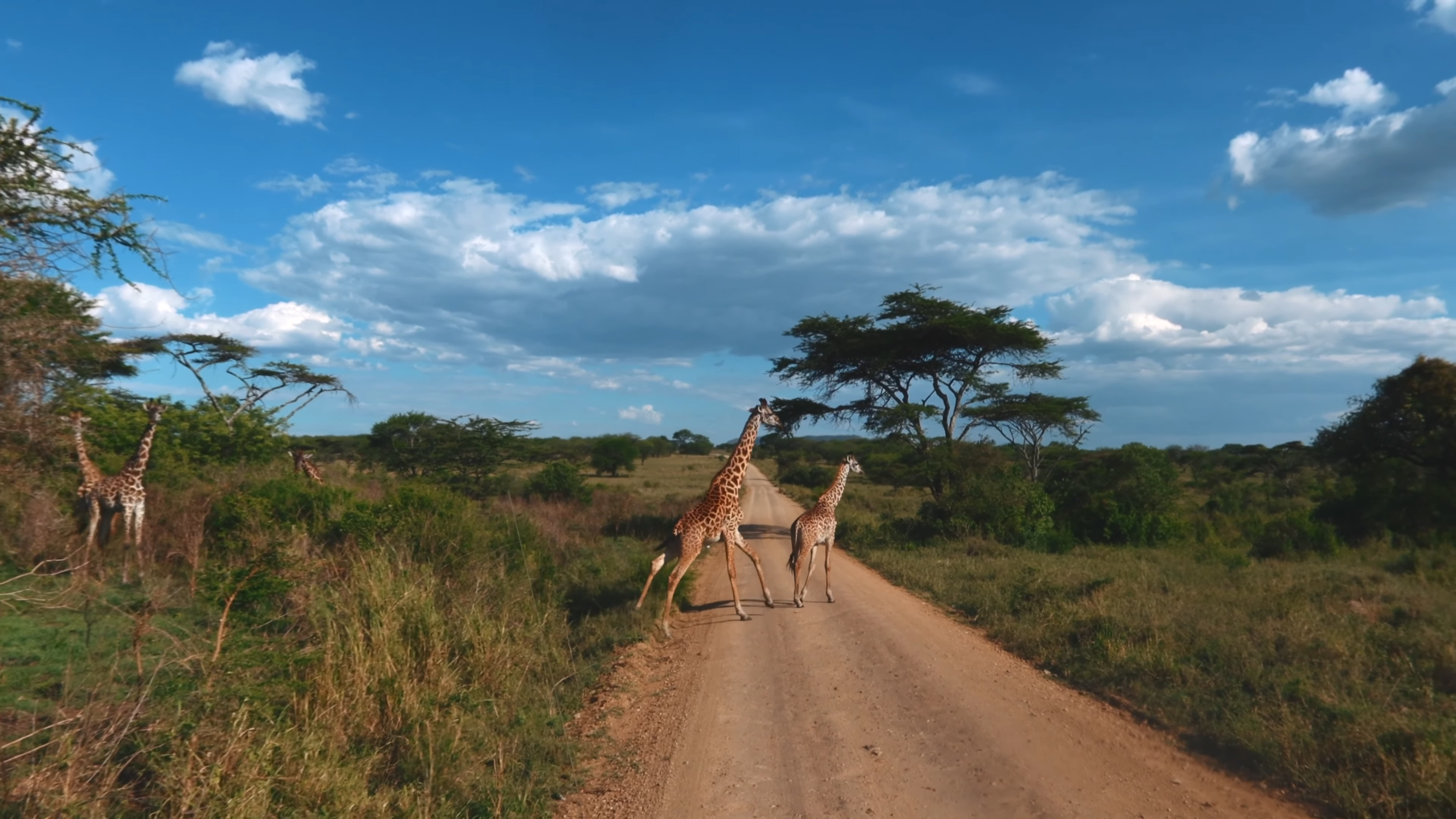 Tanzania Affordable Safaris