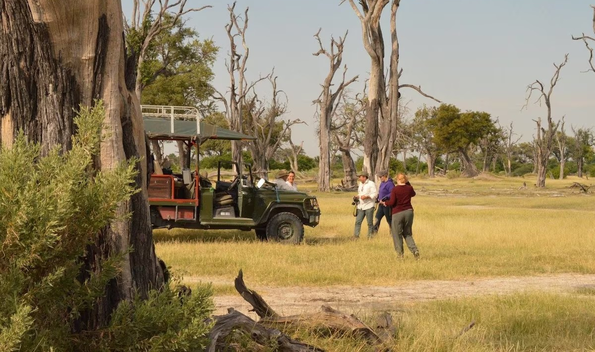 Chobe Safari Experiences