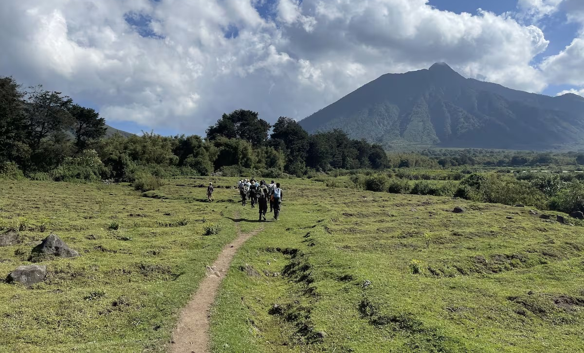 Gorilla Trekking and Hiking Safaris