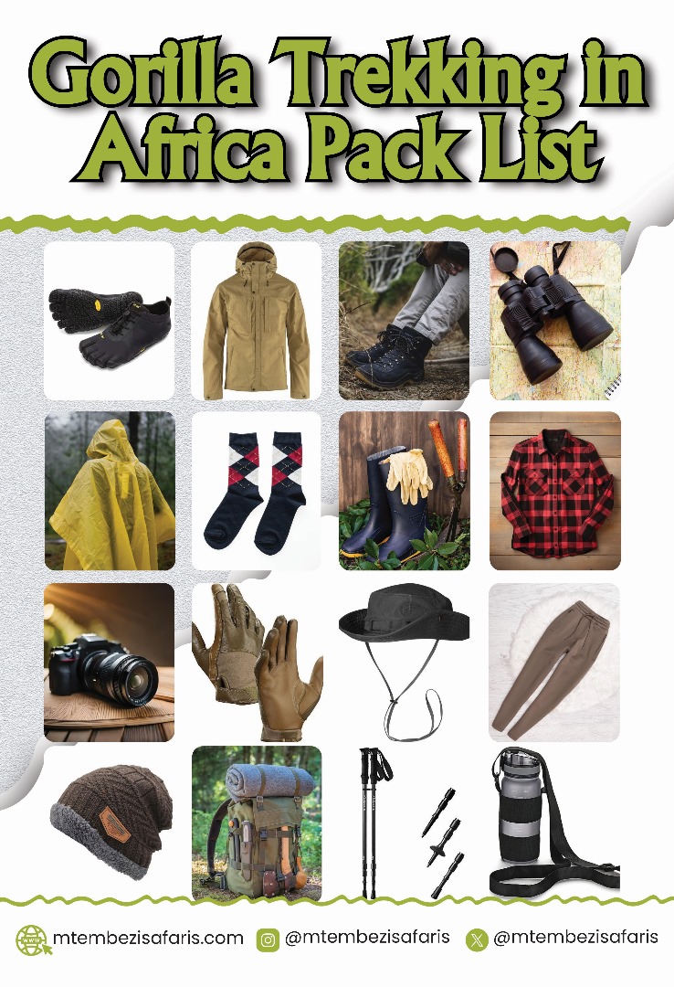 Gorilla Pack List | Uganda | Rwanda | DR Congo