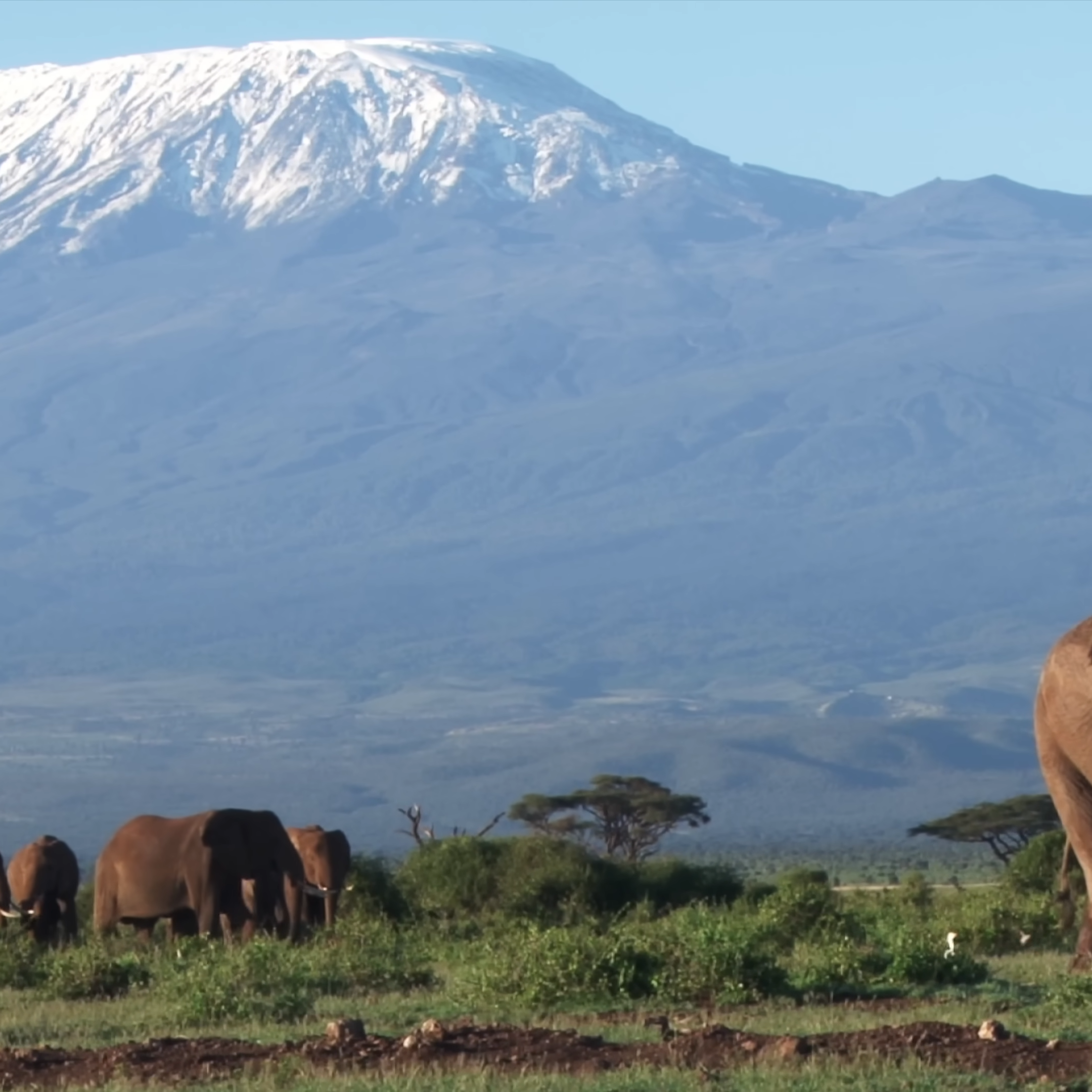 Kilimajaro Mountain Serengeti National Park | Amboseli National Park