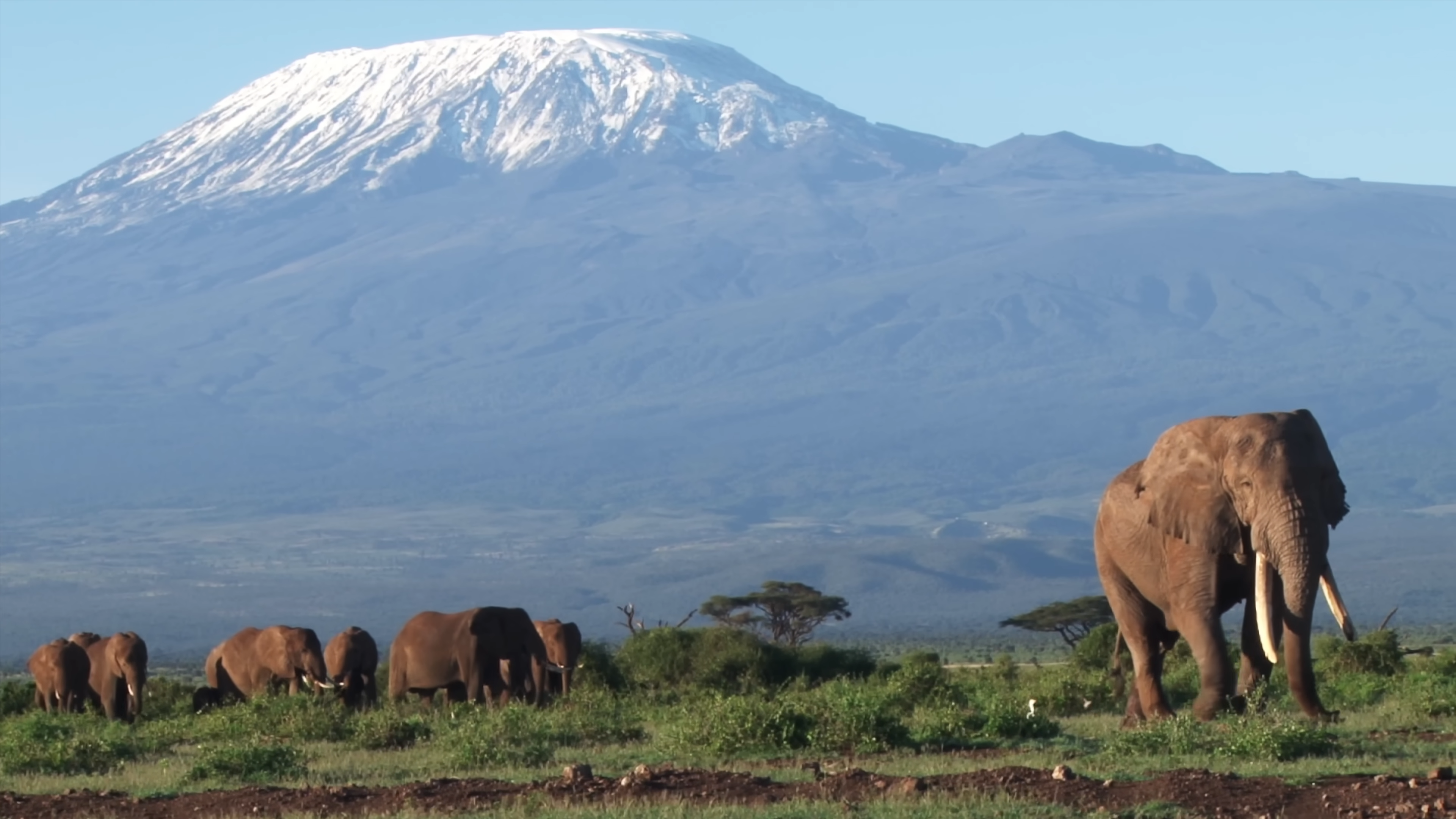 Serengeti National Park | Amboseli National Park