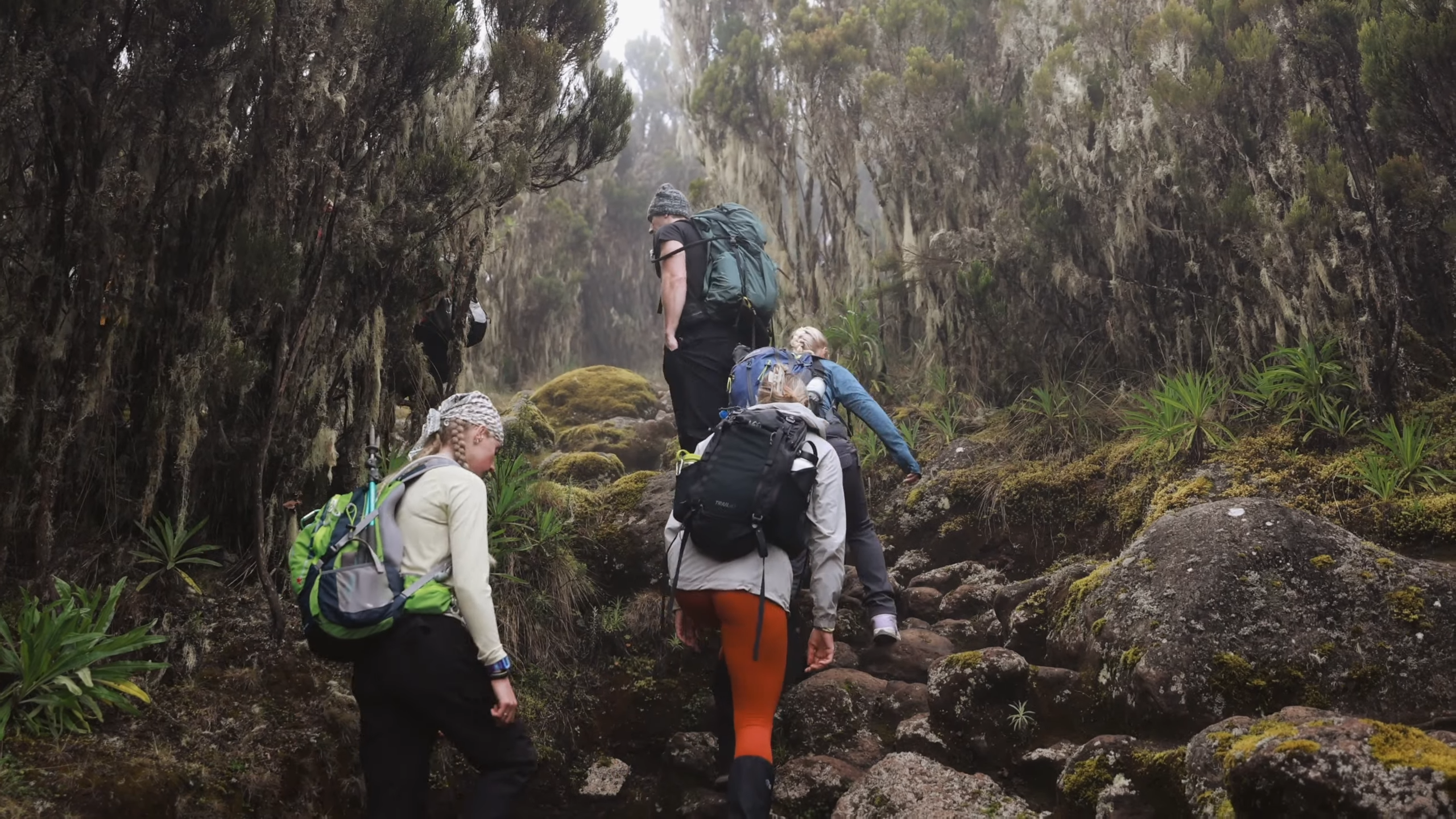 Machame Route Kilimanjaro Climbing