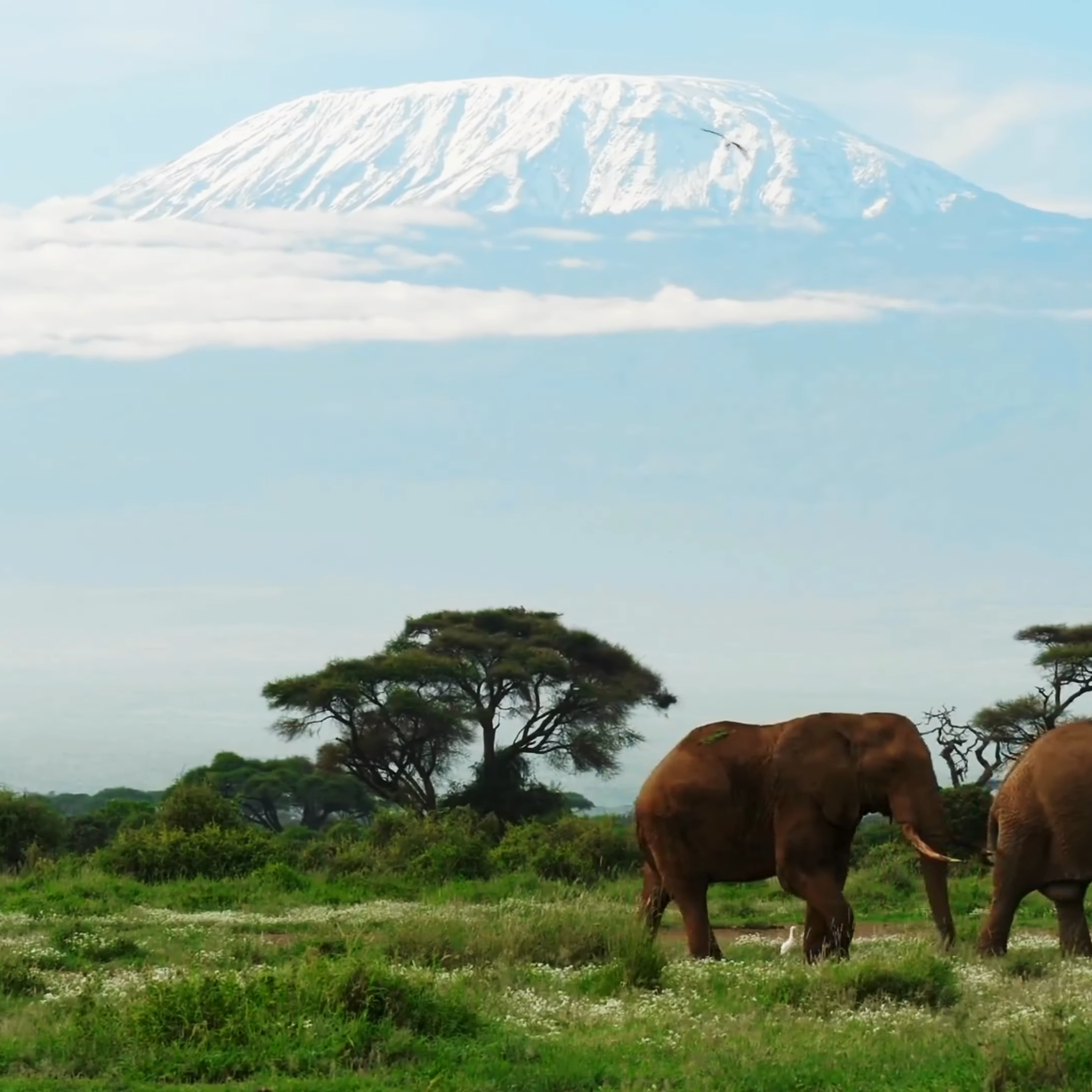 The Amboseli National Park | Top African Safari Destination