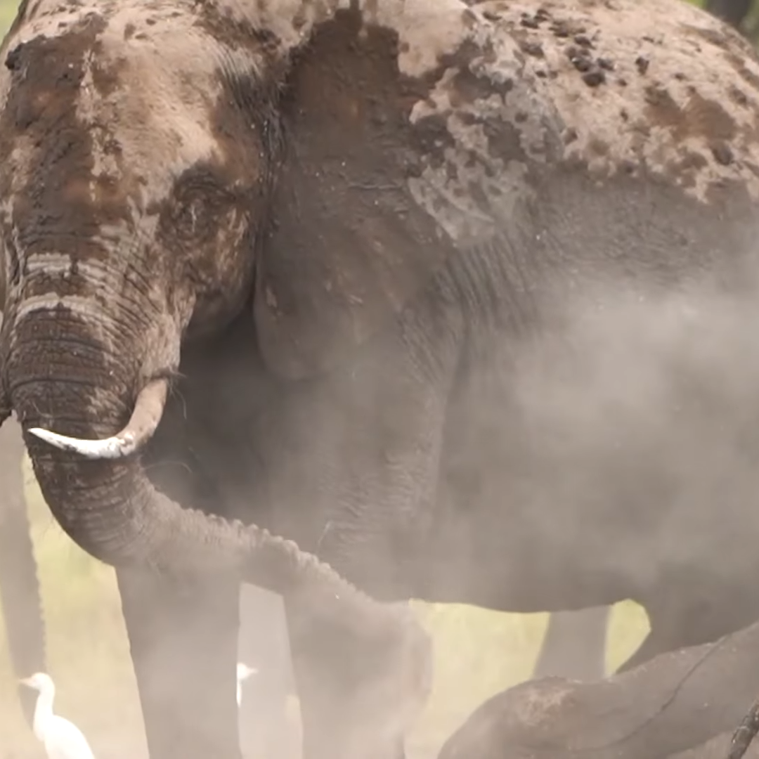 Samburu National Reserve