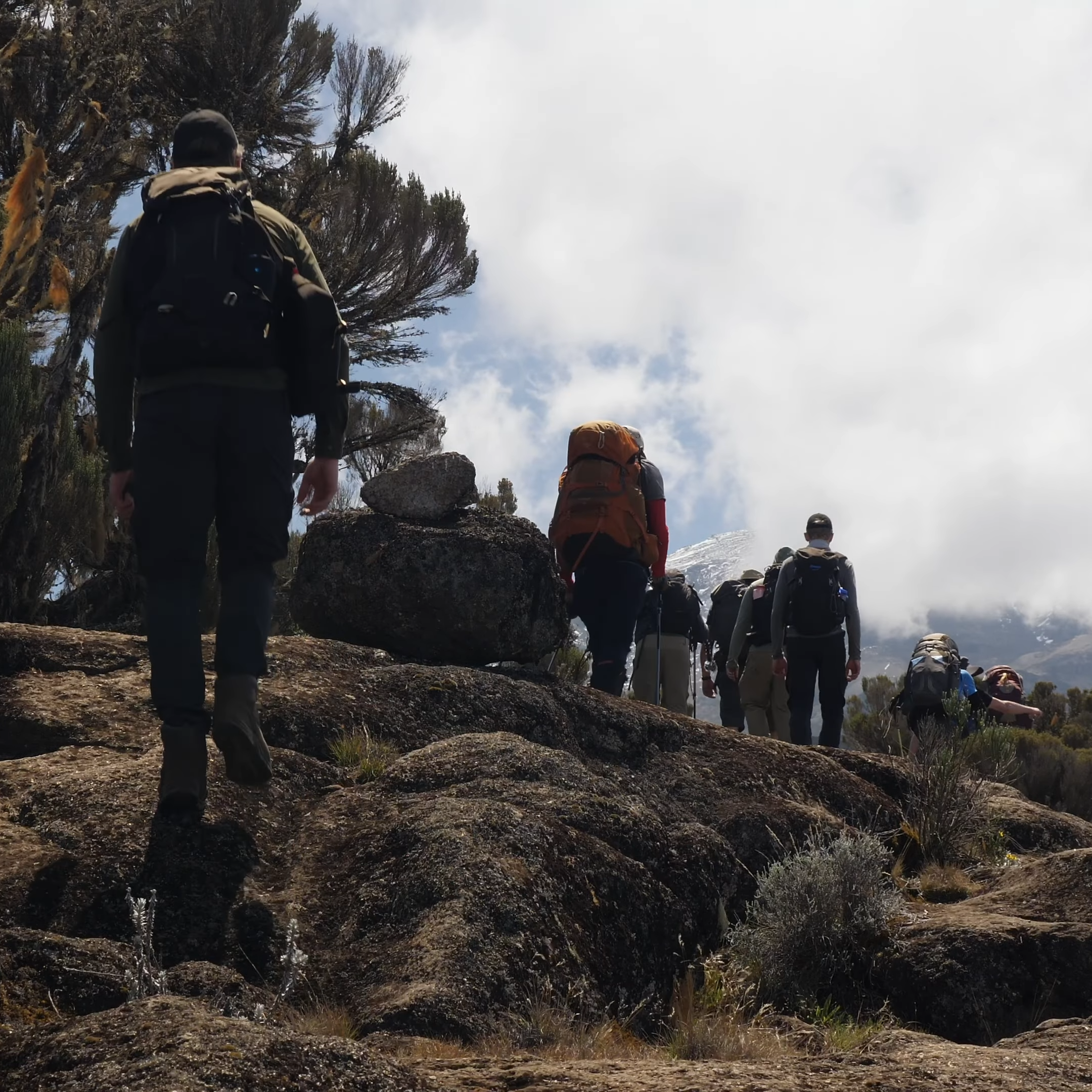 Marangu Route Kilimanjaro Climbing