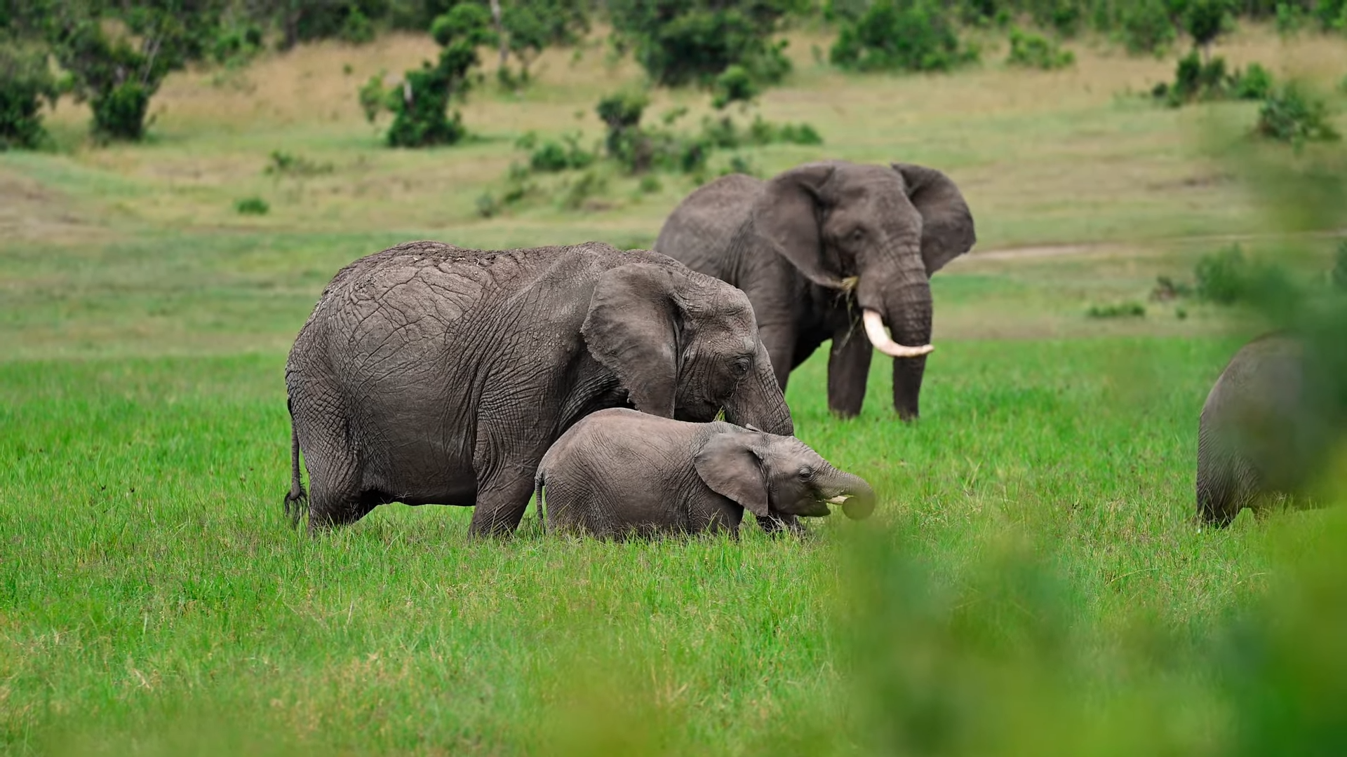 Masai Mara National Reserve