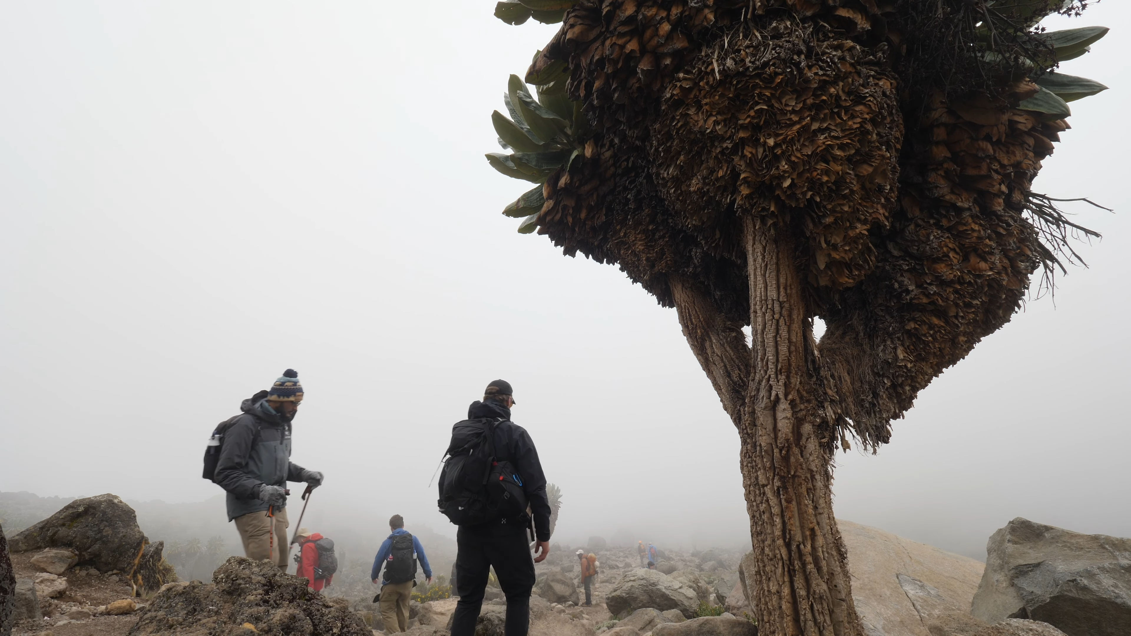 Kilimanjaro weather