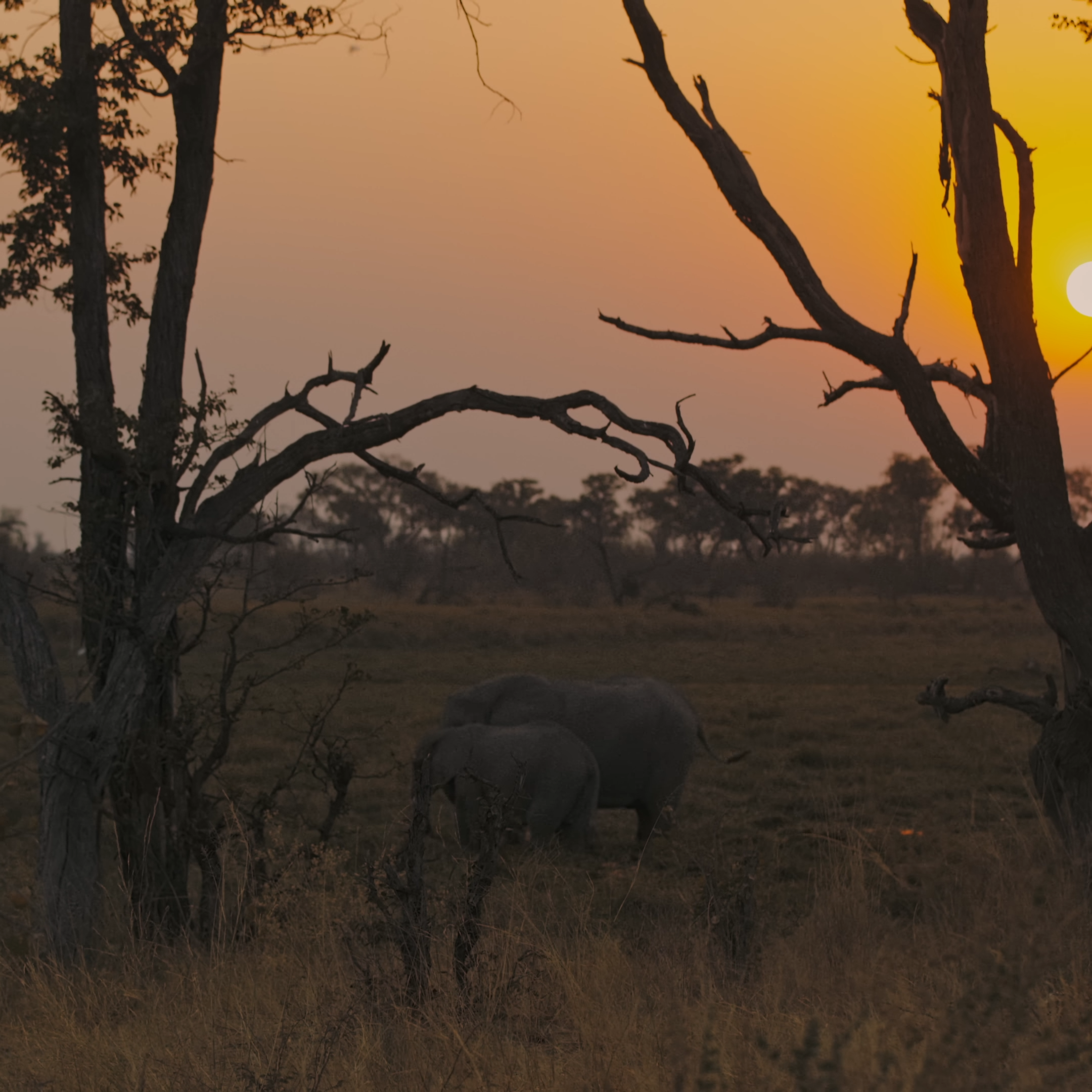 Affordable Botswana Overland Tours