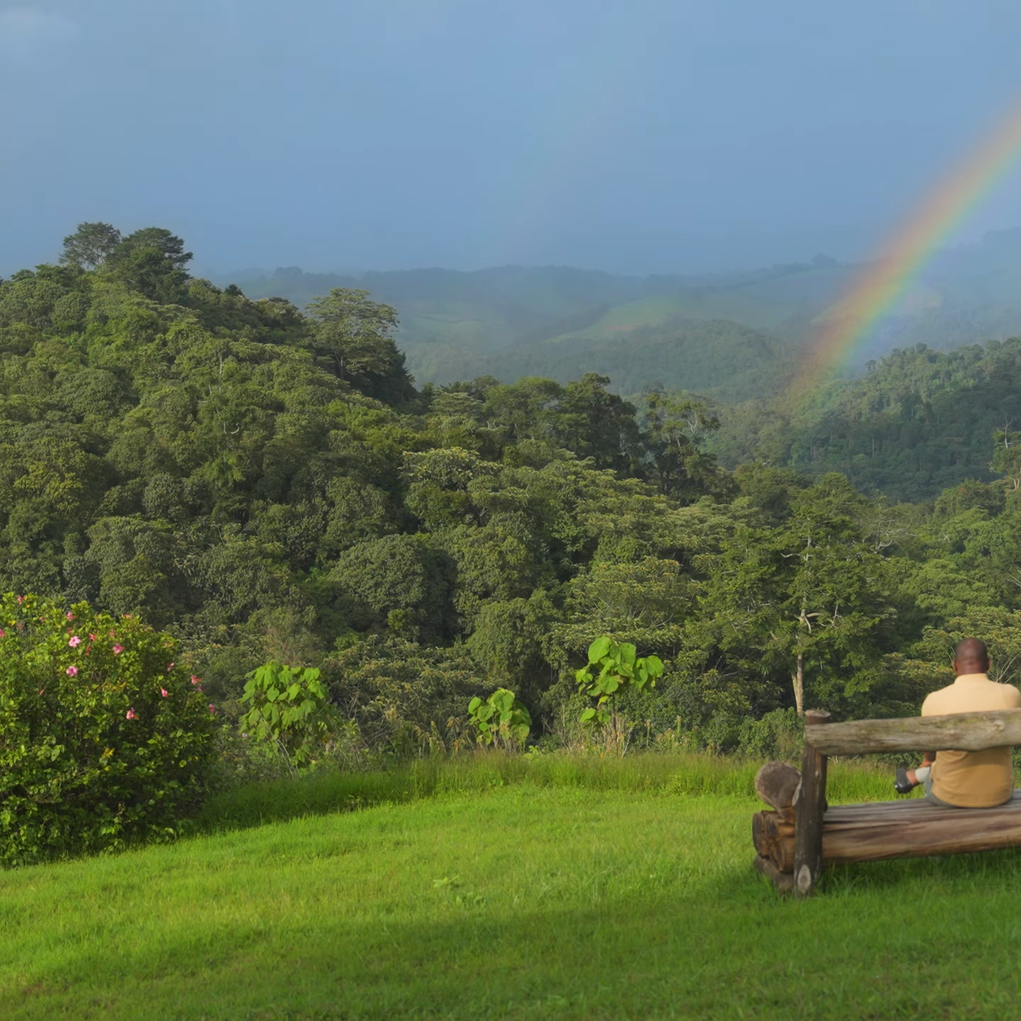 Nature experience in Gishwati Mukura National Park