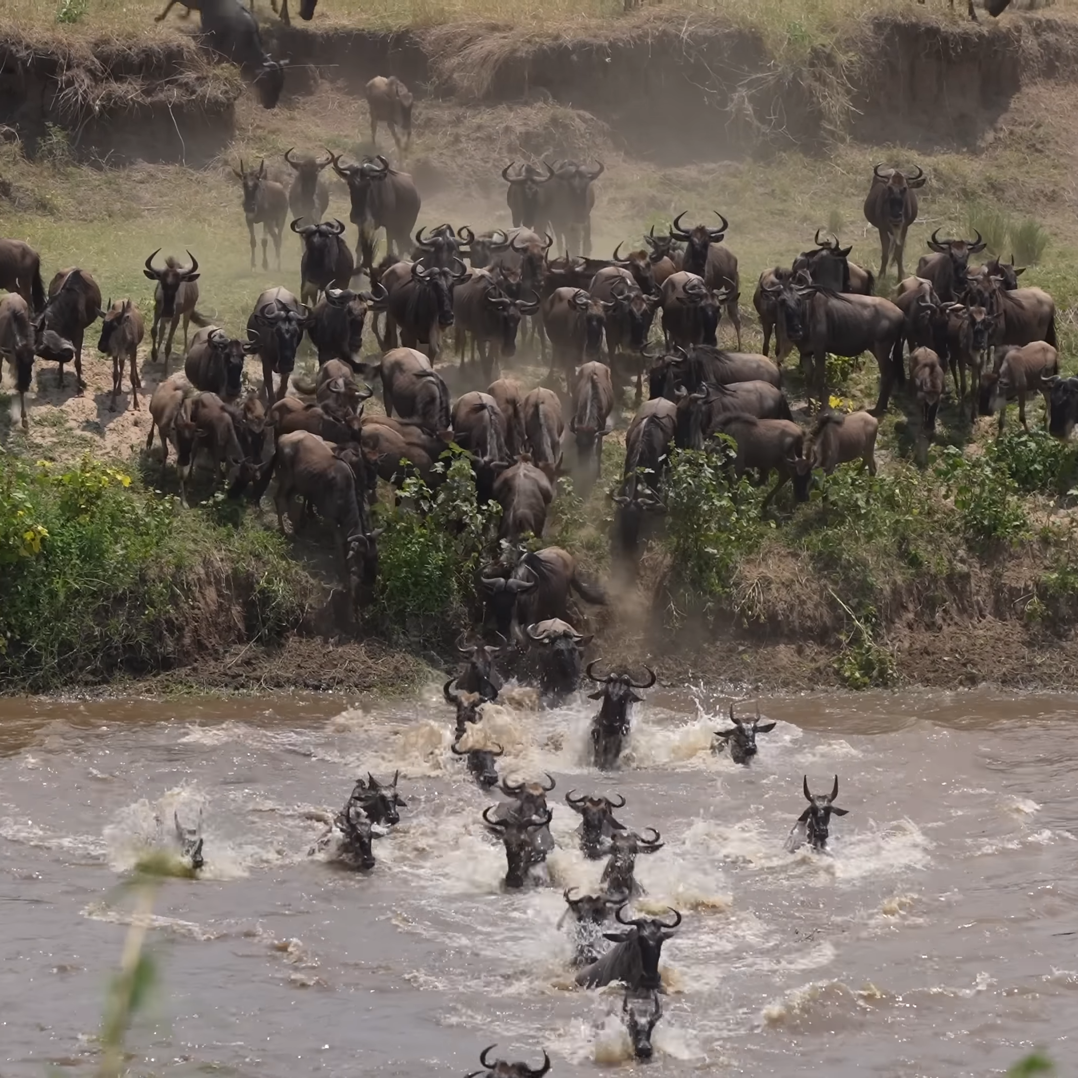 Great Migration View Private Safari Tours Great Migration View Private Safari Tours_Mtembezi African Safaris