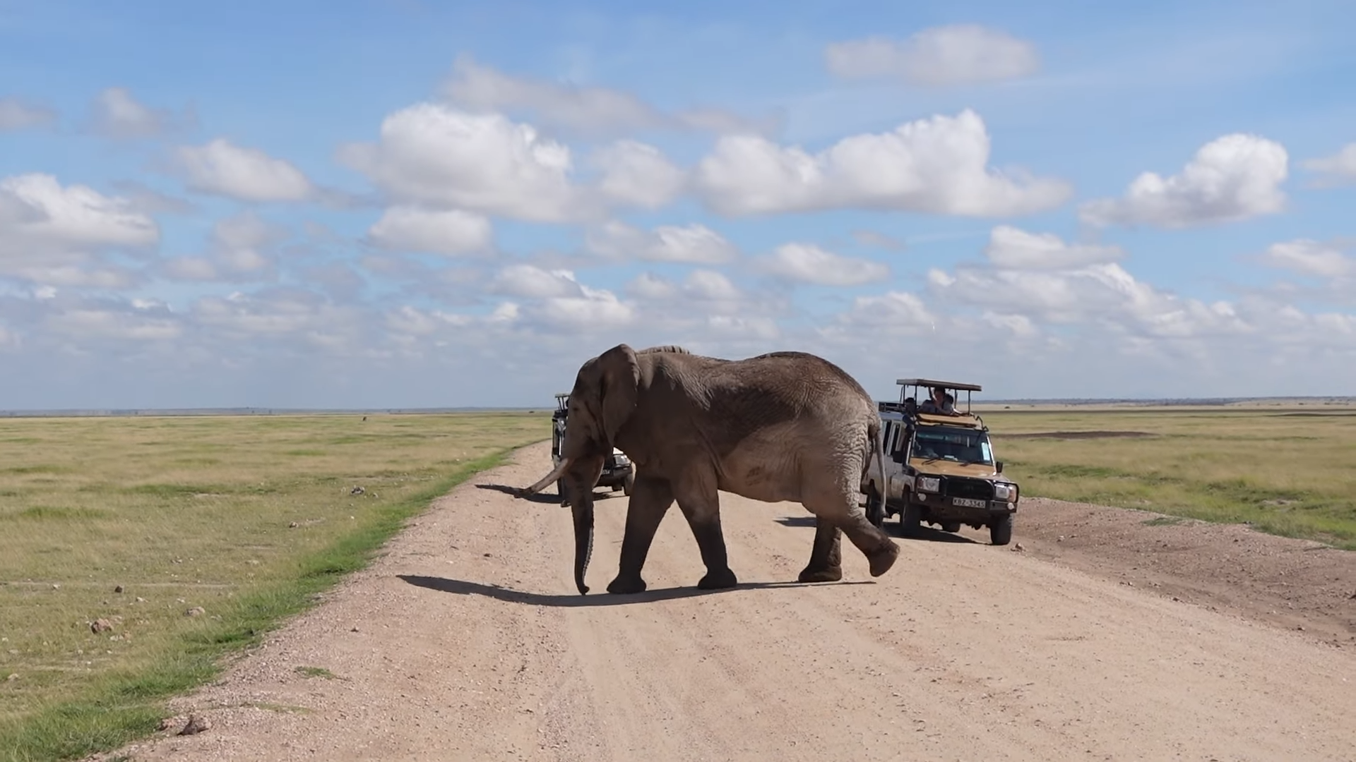 Kenya Comprehensive Travel Guide_4×4 Game Drive Safari_Masai Mara_12-Day Classic Kenya Safari_Mtembezi African Safaris