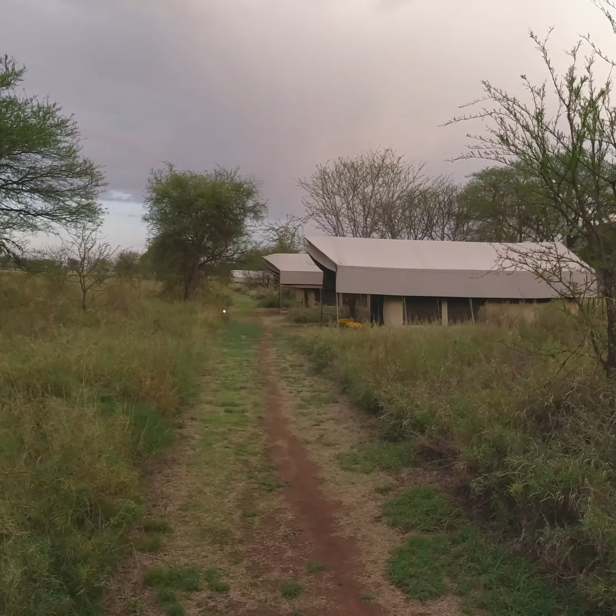 11-Day Luxury Mobile Camp_Serengeti National Park_Mtembezi African Safaris 11-Day Luxury Mobile Camp_Serengeti National Park_Mtembezi African Safaris