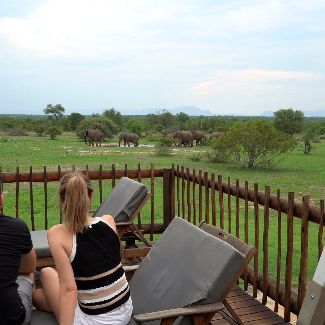 Honeymoon & Wildlife Safari South Africa_Mtembezi African Safaris & Vacations Southern Africa Safari & East Africa Gorilla Trekking_Mtembezi African Safaris & Vacations