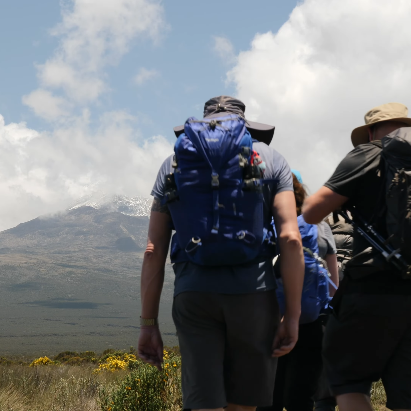 Backpackers safari Tours Africa