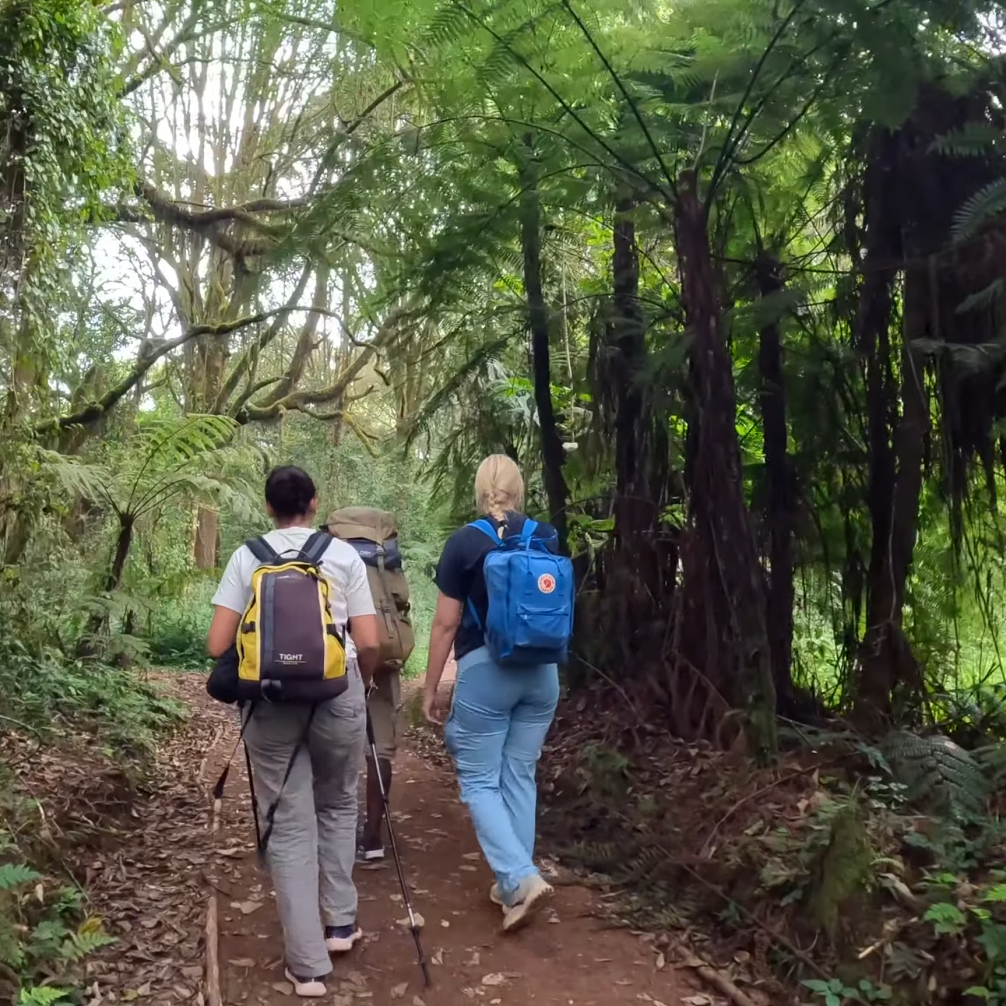 Walking Safari Tour_Backapaers Walking Safari Tour_Backapaers