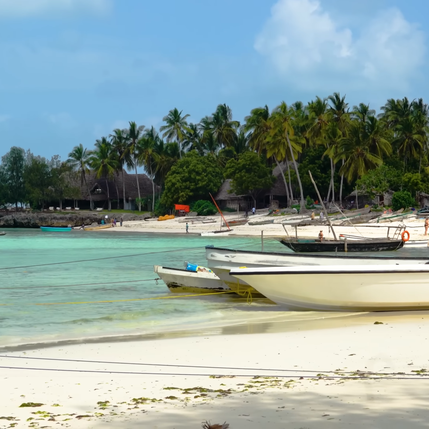 Beach Holiday Tours in Zanzibar Beach Holiday Tours in Zanzibar_Africa Safari & Beach Holiday Tours