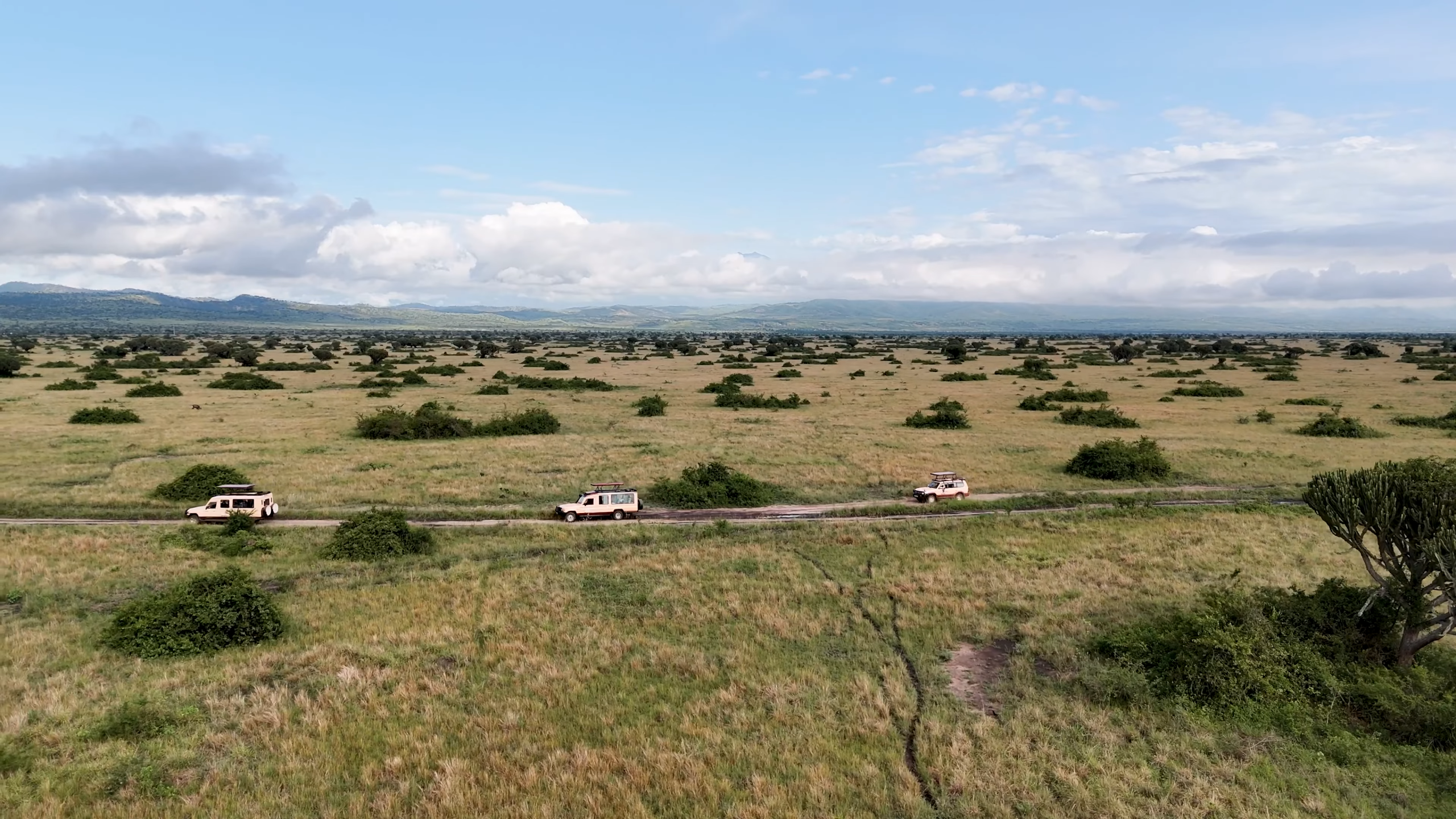 Guided 4x4 Self-Drive Safaris in Queen Elizabeth National Park