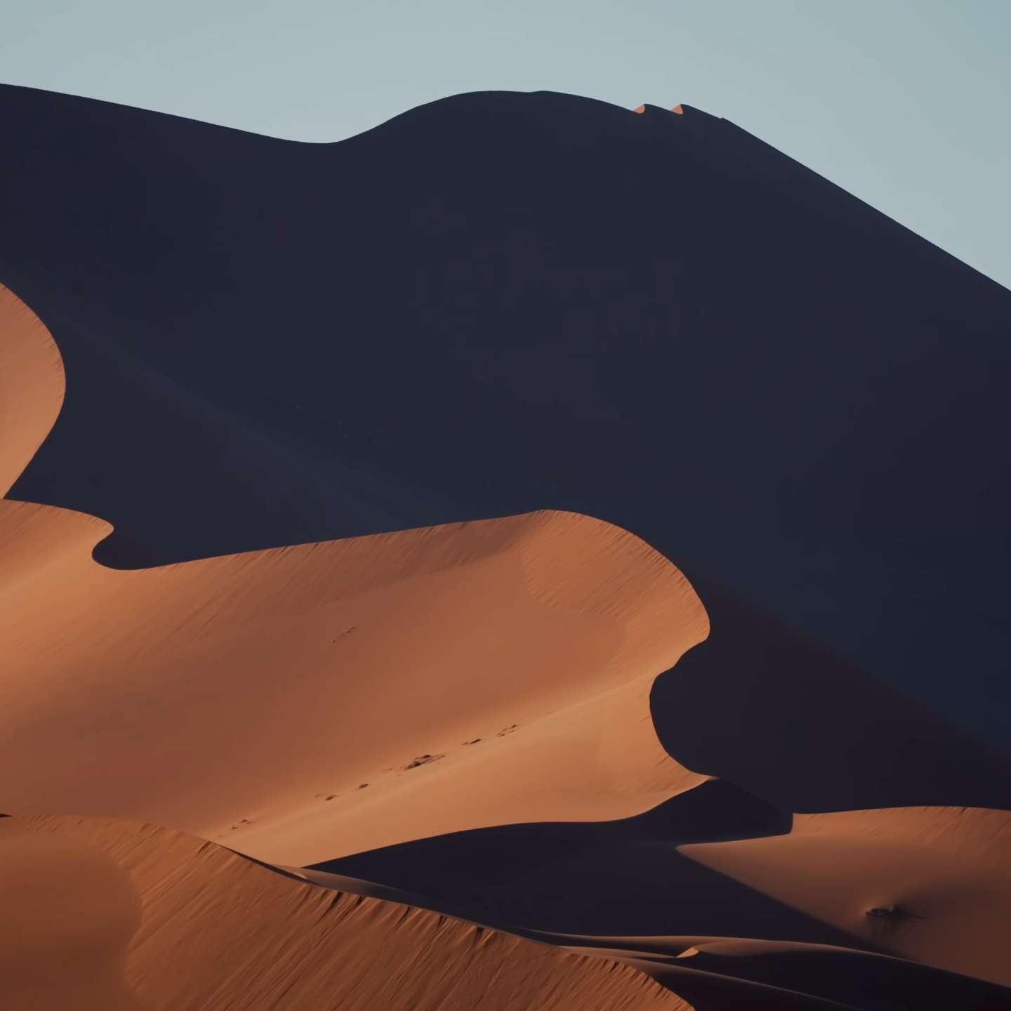 Namib Desert_Towering red Sand Dunes_Sossusvlei