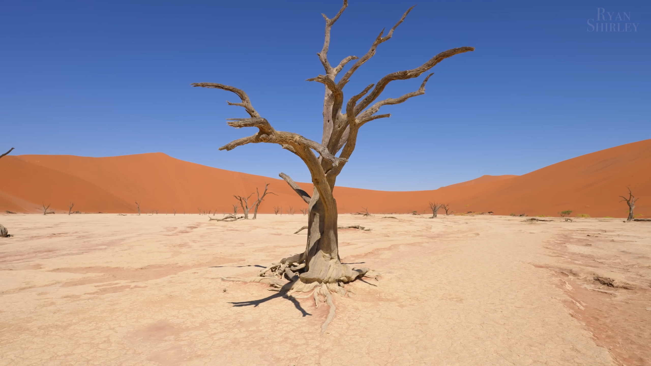 Namib Dessert_Namibia Tours