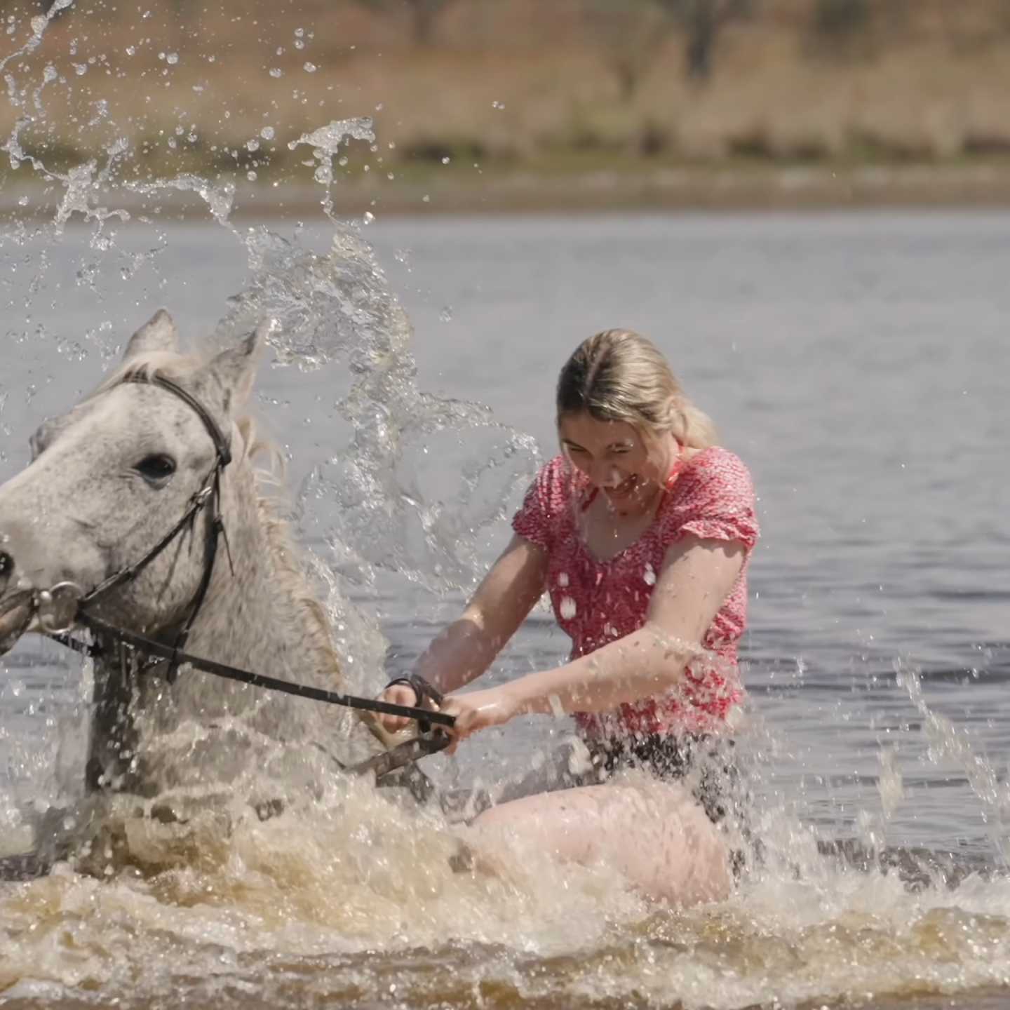 South African Beach Holiday Horse back riding South African Beach Holiday Horse back riding