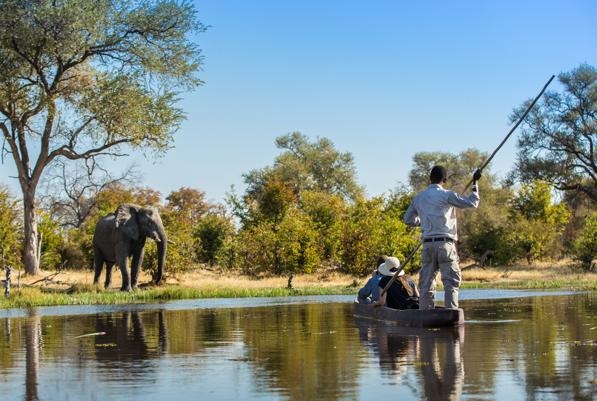 Botswana Mokoro Boat Safari, Elephant tracking through the Okavango Delta winding channels_Mtembezi African Safaris