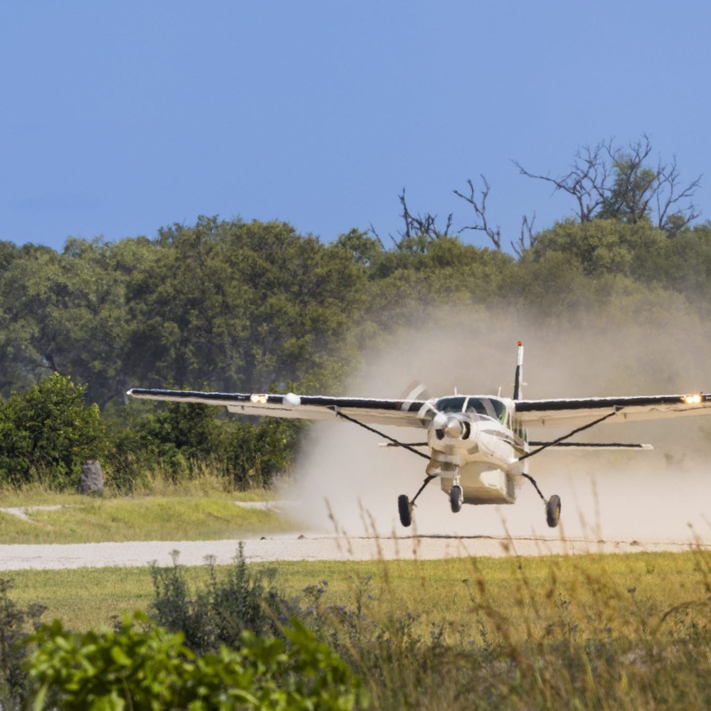 Botswana Fly-in Classic Safari_Mtembezi African Safari