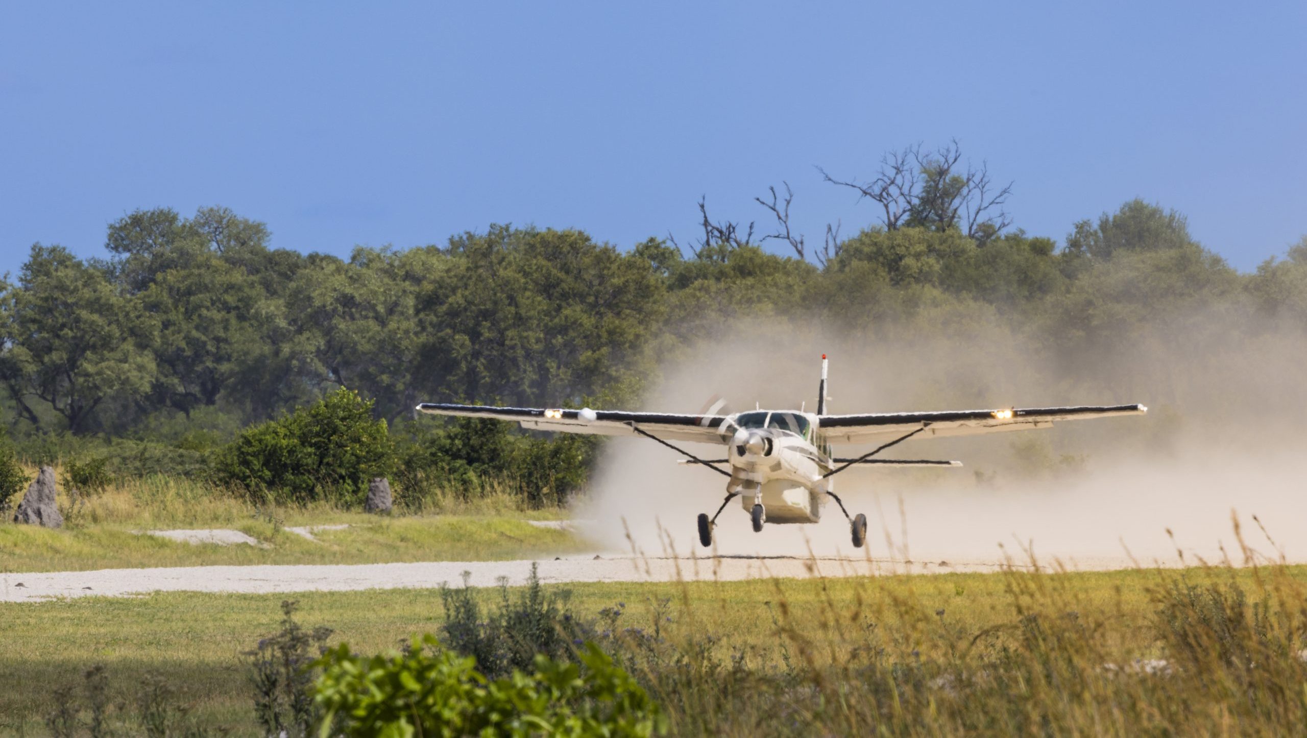 Botswana Fly-in Classic Safari_Mtembezi African Safari