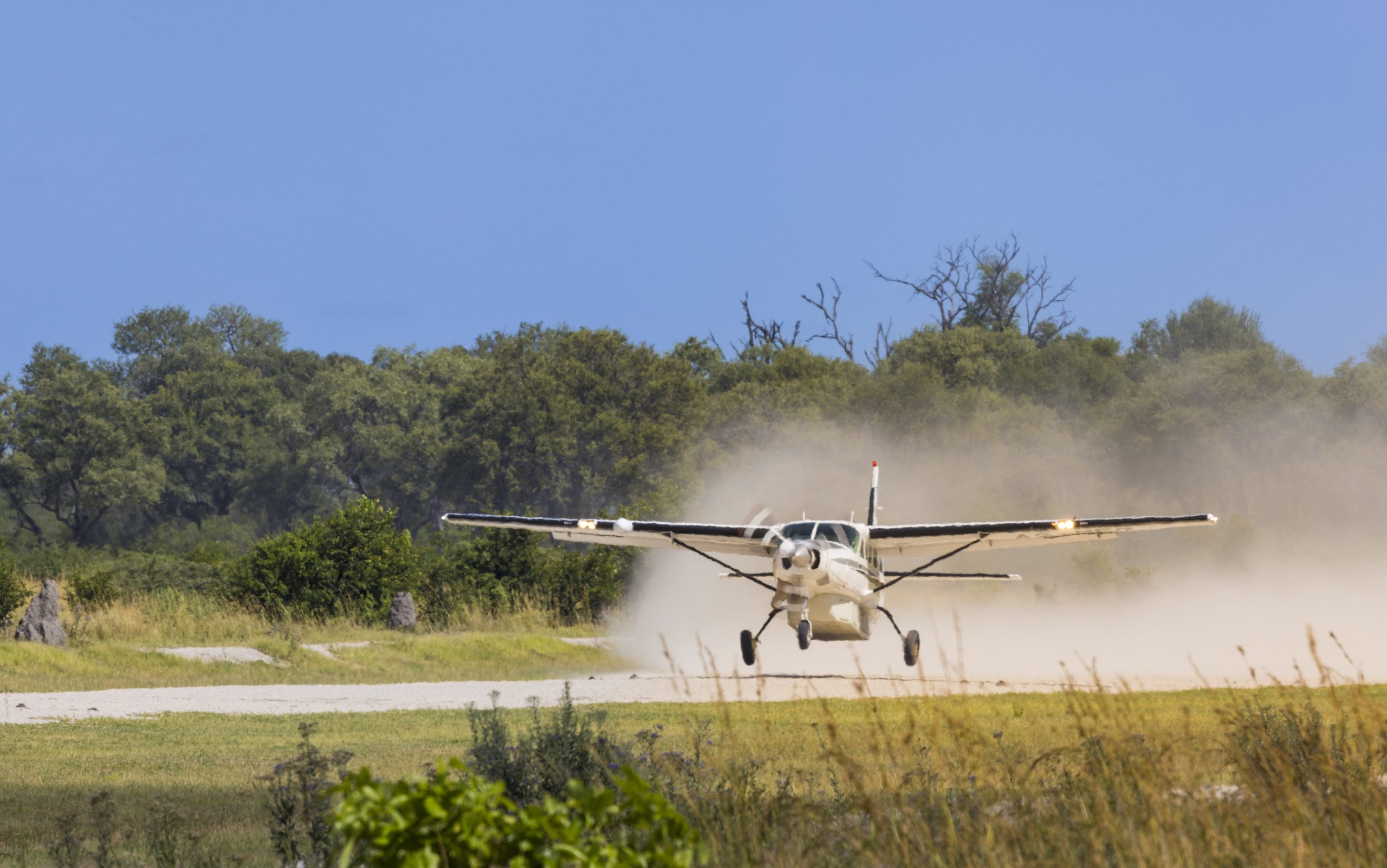 Botswana Fly-in Classic Safari_Mtembezi African Safari