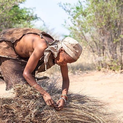 San woman preparing grass bundles in the Kalahari Desert near Ghanzi, Botswana_Mtembezi African Safaris San woman preparing grass bundles in the Kalahari Desert near Ghanzi, Botswana_Mtembezi African Safaris