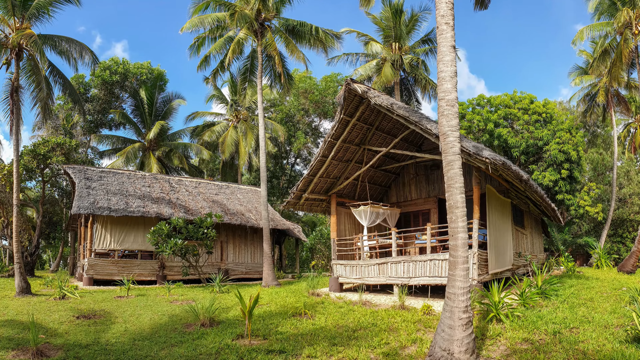 Beachfront eco-lodge bungalows surrounded by palm trees on Mafia Island Tanzania_Mtembezi African Safaris